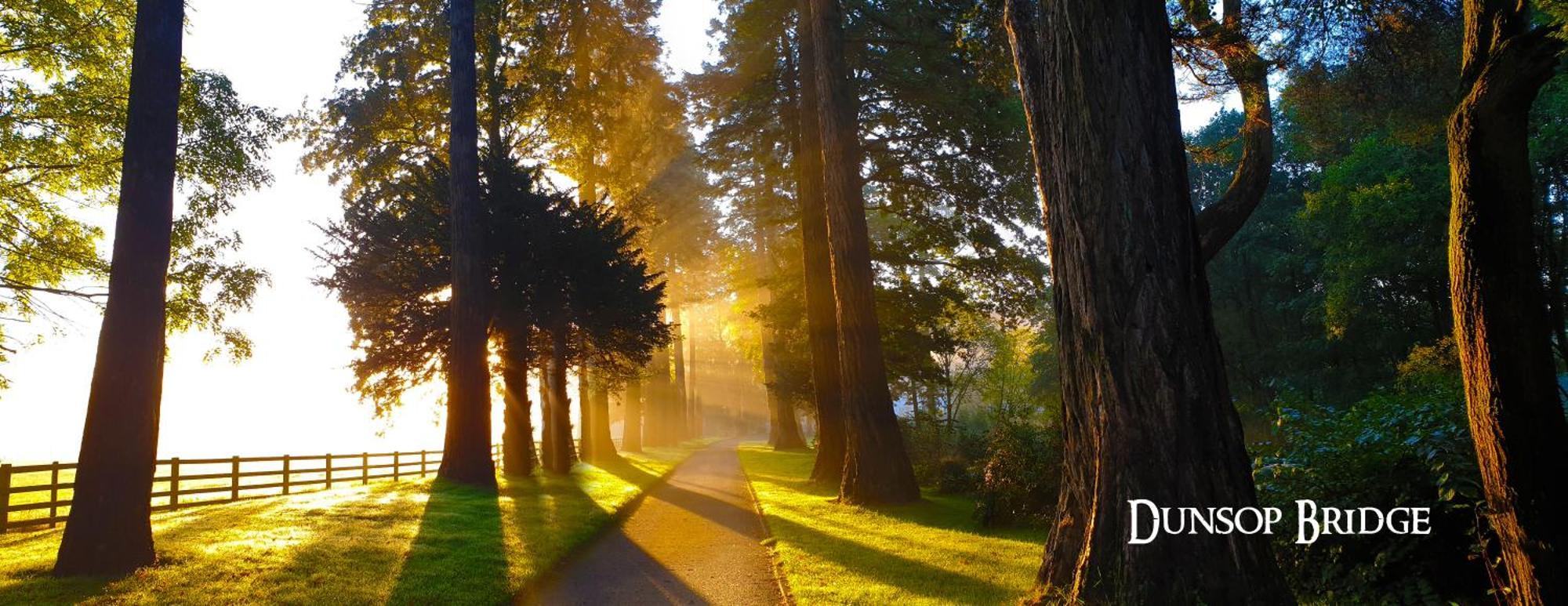 Hobbit - Holiday Lodge Longridge Bagian luar foto